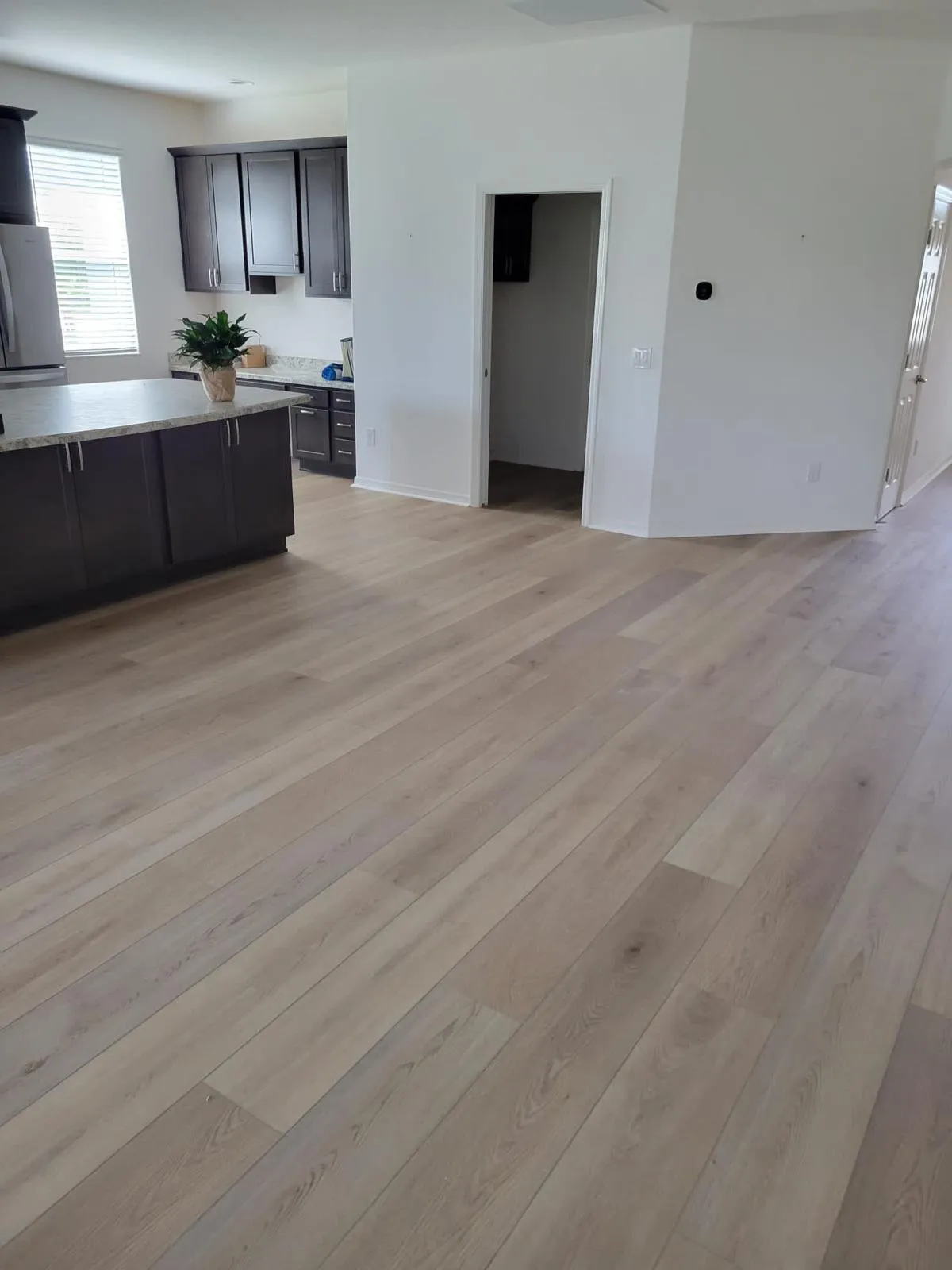 Best Flooring Contractors in Tampa FL